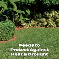 Scotts Turf Builder All-Purpose Lawn Fertilizer For All Grasses 10000 Sq Ft -Roundup Hub 3697a62f ac4f 416f be1f 550eeca1640e