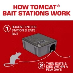 Tomcat Bait Station Blocks For Mice And Rats 1 Pk -Roundup Hub 3774c1ab fad3 4255 b8e3 456fcc8d1947
