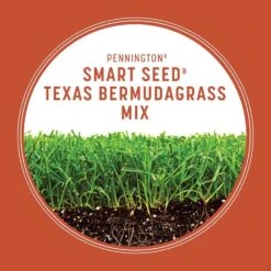 Pennington Smart Seed Texas Bermuda Full Sun Grass Seed And Fertilizer 1.75 Lb -Roundup Hub 387a0b5e 8013 48d0 ba84 06f939394191