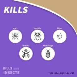 Bonide Orchard Spray Concentrated Liquid Disease Control 32 Oz -Roundup Hub 39178b02 c1a6 4c38 95bf ee2bea611bf9