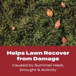 Scotts Turf Builder Fall Lawn Food For Multiple Grass Types 4000 Sq Ft 11 Scotts Turf Builder Fall Lawn Food For Multiple Grass Types 4000 Sq Ft -Roundup Hub 39986104 ea3c 460f ba98 ca66a69b2511