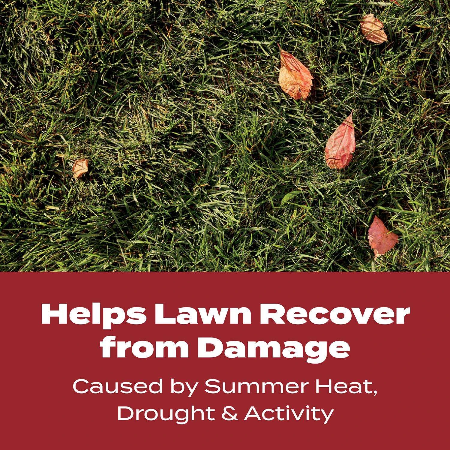 Scotts Turf Builder Fall Lawn Food For Multiple Grass Types 4000 Sq Ft 4 Scotts Turf Builder Fall Lawn Food For Multiple Grass Types 4000 Sq Ft - Image 4