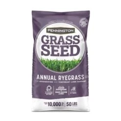 Pennington Annual Ryegrass Full Sun/Light Shade Grass Seed 50 Lb