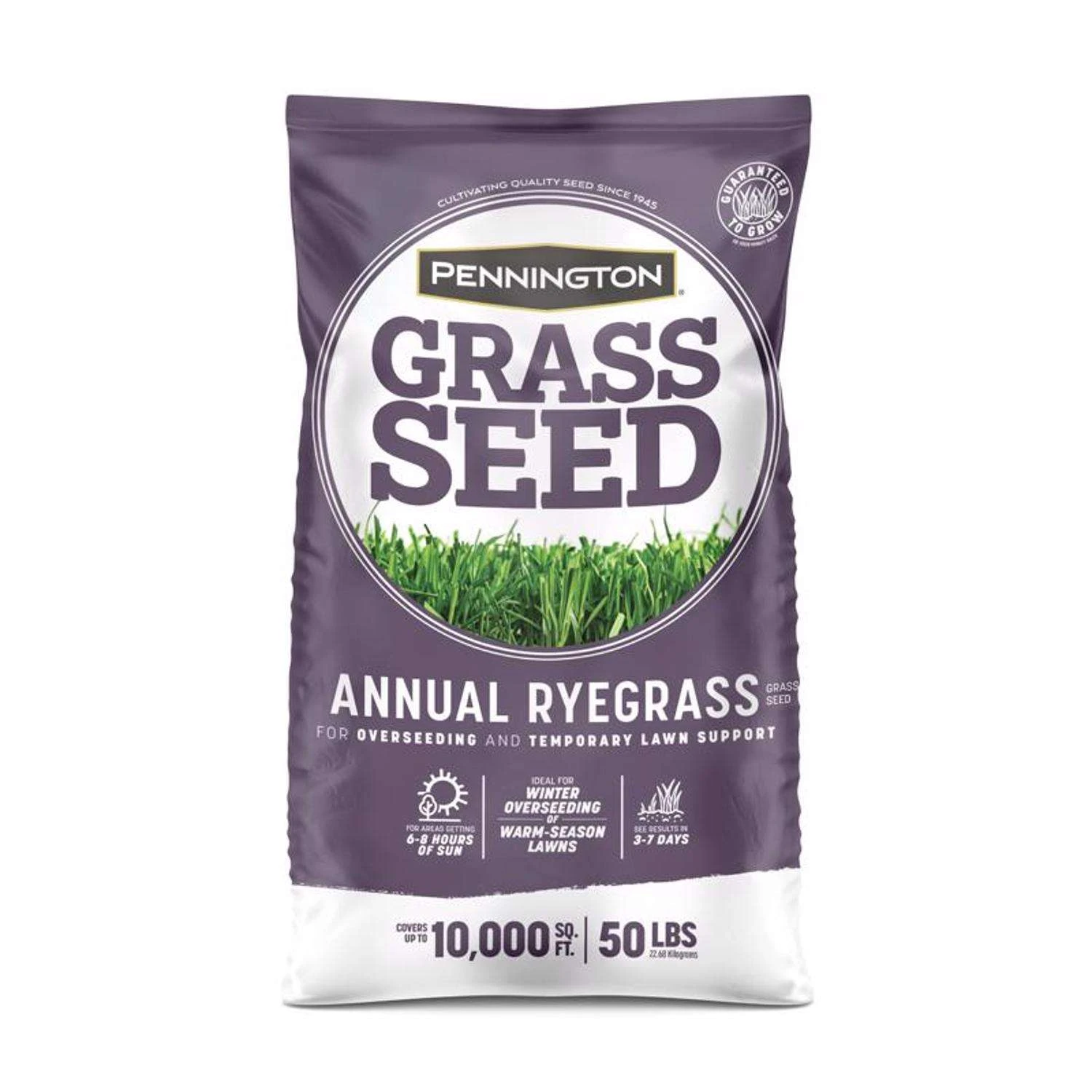 Pennington Annual Ryegrass Full Sun/Light Shade Grass Seed 50 Lb 1 Pennington Annual Ryegrass Full Sun/Light Shade Grass Seed 50 Lb