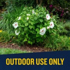 GardenTech Over N Out Advanced Fire Ant Killer Granules 11.5 Lb -Roundup Hub 3a8ae874 1966 4645 9b87 e0e830f1e88d