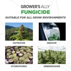 Grower's Ally Organic Liquid Fungicide 24 Oz -Roundup Hub 3afd6063 06e6 4730 a82f 4c3f2915ec69