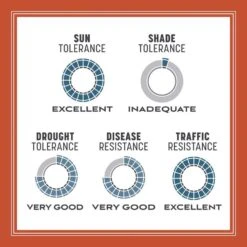 Pennington Smart Seed Texas Bermuda Full Sun Grass Seed And Fertilizer 1.75 Lb -Roundup Hub 3b7aaa23 ffc6 4a0c 93ae a6f3e97fae3e