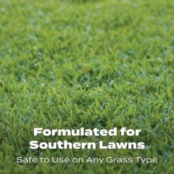 Scotts Turf Builder Southern All-Purpose Lawn Fertilizer For All Grasses 10000 Sq Ft -Roundup Hub 3de6260b 9d64 450c a11a e880faaf7b0b