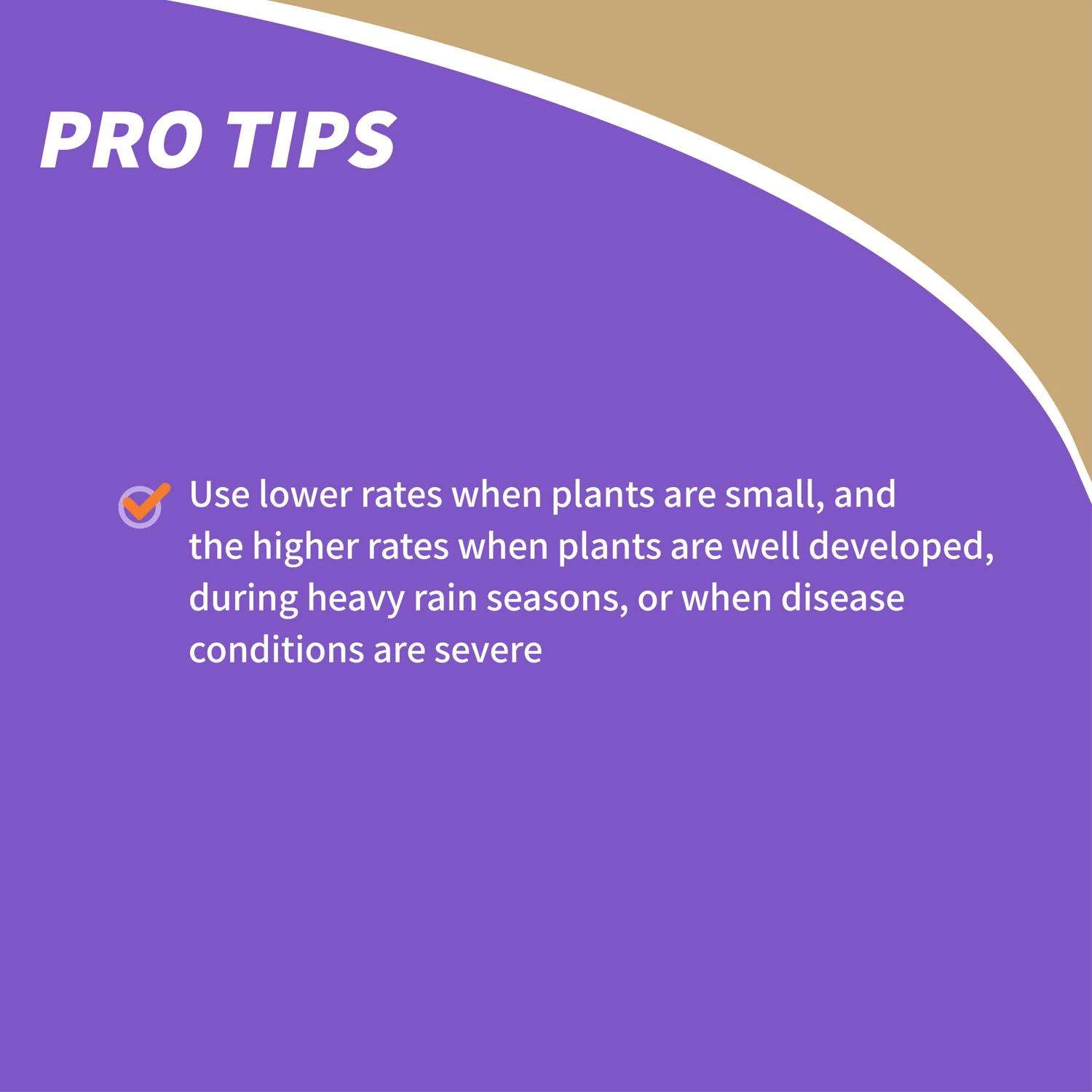 Bonide Organic Dust Fungicide 4 Lb 7 Bonide Organic Dust Fungicide 4 Lb - Image 7