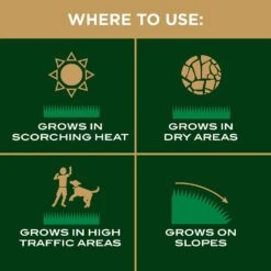 Scotts EZ Seed Bermuda Grass Sun Or Shade Grass Spot Repair Seed 20 Lb -Roundup Hub 4073bbe1 0204 47de a4e6 73c392c248cc