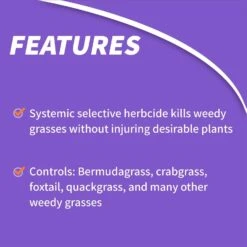 Bonide Grass Beater II Bermudagrass Killer Concentrate 8 Oz -Roundup Hub 408e0cdc 0792 4a6d 8933 c1eaa8c3a443