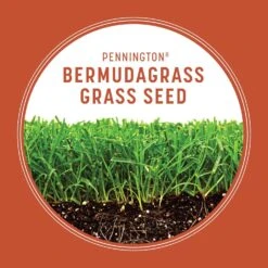 Pennington Bermuda Grass Full Sun Grass Seed 15 Lb -Roundup Hub 42b771d1 25c3 4d0d ba9c b71c759c4daf