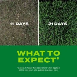 Scotts Turf Builder Rapid Grass Tall Fescue Grass Sun Or Shade Grass Seed And Fertilizer 16 Lb -Roundup Hub 4633a64c 9945 4fe0 9461 ad75b6033da9