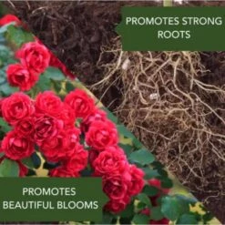 BioAdvanced 3 In 1 Garden Insect Spray Concentrate 32 Oz -Roundup Hub 4738712d 71a3 4d23 bb46 22e6921dc72c