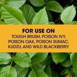 Roundup Poison Ivy Killer Concentrate 32 Oz 13 Roundup Poison Ivy Killer Concentrate 32 Oz -Roundup Hub 4776957f dd0e 43dc 9500 9e1f3e40ce9c