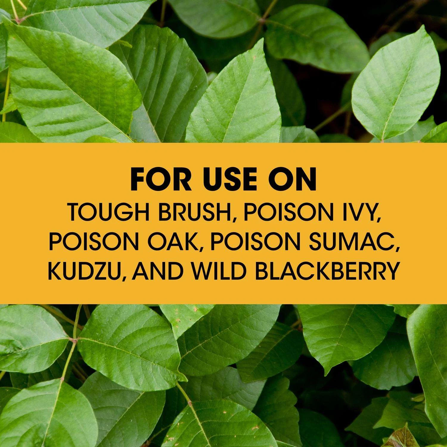 Roundup Poison Ivy Killer Concentrate 32 Oz 4 Roundup Poison Ivy Killer Concentrate 32 Oz - Image 4