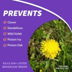 Bonide Weed Beater Weed Killer Concentrate 32 Oz -Roundup Hub 482a03b6 ac10 41f5 be63 bfce4710dede