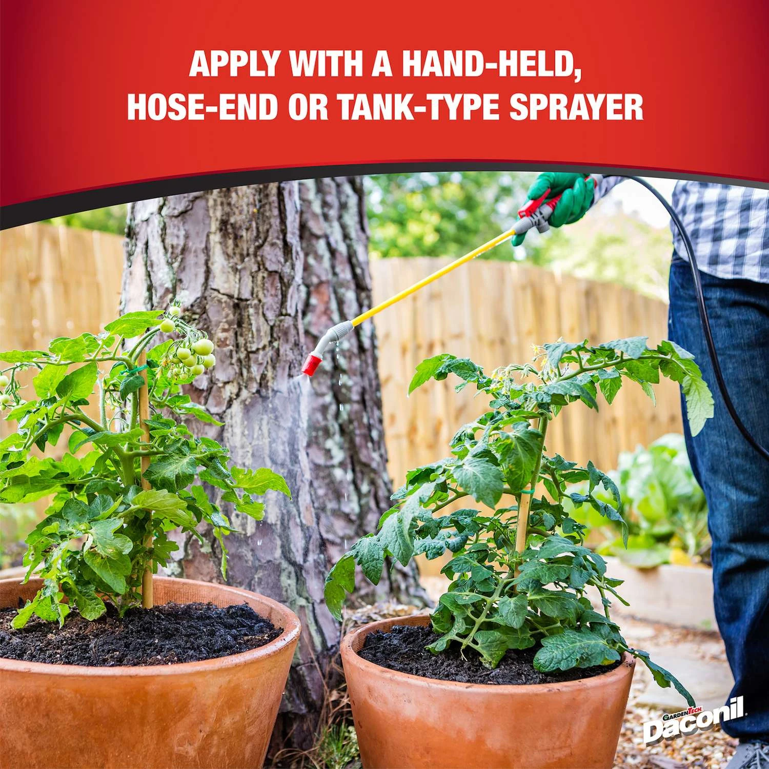 GardenTech Daconil Concentrated Liquid Fungicide 16 Oz 3 GardenTech Daconil Concentrated Liquid Fungicide 16 Oz - Image 3