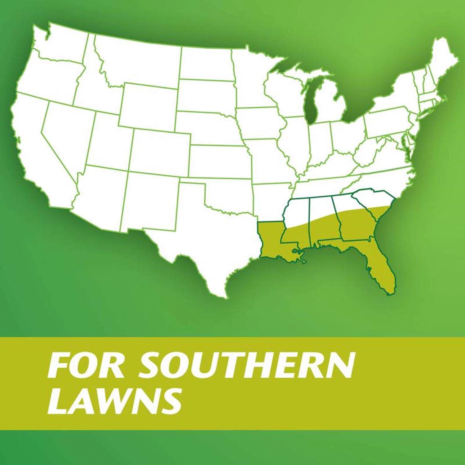 Scotts Turf Builder Argentine Bahiagrass Sun Or Shade Grass Seed 5 Lb 2 Scotts Turf Builder Argentine Bahiagrass Sun Or Shade Grass Seed 5 Lb - Image 2