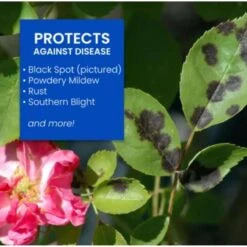 BioAdvanced 3 In 1 Garden Insect Spray Concentrate 32 Oz -Roundup Hub 4b6dfe28 e039 4a3c 85c4 ccdb71b30b27