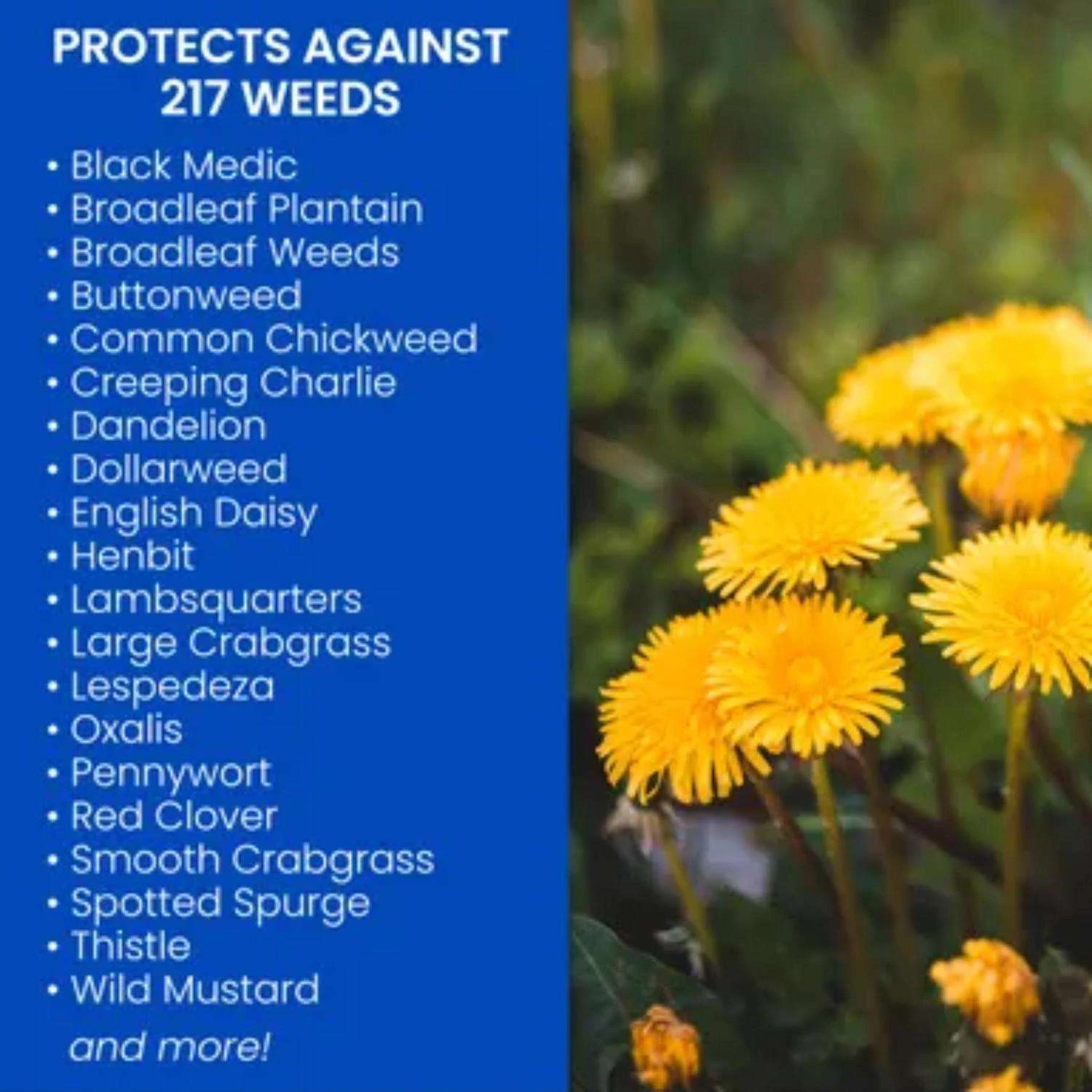 BioAdvanced Weed And Crabgrass Killer RTS Hose-End Concentrate 32 Oz 2 BioAdvanced Weed And Crabgrass Killer RTS Hose-End Concentrate 32 Oz - Image 2