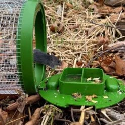 Billy Bob Multiple Catch Cage Trap For Mice 1 Pk -Roundup Hub 4c900f55 0d09 4589 98a9 f7ac177a7cf6