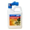 Monterey Concentrated Liquid Disease And Fungicide Control 1 Qt