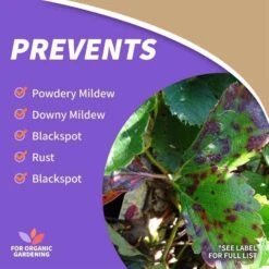 Bonide Rose Organic Crawling Insect Killer Liquid 32 Oz -Roundup Hub 4e5b32ab 4b22 44c3 bacf 6def1fb9d212