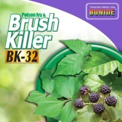 Bonide Brush Beater Brush Killer Concentrate 16 Oz -Roundup Hub 4f366b5e fbdf 4289 bcd7 56f1f807a14d