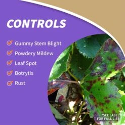 Bonide All Seasons Organic Horticultural Spray Oil Liquid 32 Oz 14 Bonide All Seasons Organic Horticultural Spray Oil Liquid 32 Oz -Roundup Hub 5191e023 71c4 4053 b8ab 3ab9fdf5a077