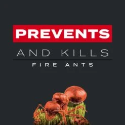 Scotts Turf Builder Southern Triple Action Weed & Feed Lawn Fertilizer For All Grasses 8000 Sq Ft -Roundup Hub 51d7d087 c866 4072 ae78 7d5eb115f08b