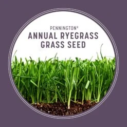 Pennington Annual Ryegrass Sun Or Shade Grass Seed 10 Lb 13 Pennington Annual Ryegrass Sun Or Shade Grass Seed 10 Lb -Roundup Hub 562eccd7 e702 4a62 9377 1951846c233e