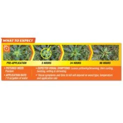 Spectracide Weed Stop Crabgrass Killer Concentrate 40 Oz -Roundup Hub 57a7fbbf 2ab9 4811 89a0 38203d059684