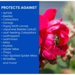 Roundup Hub -Roundup Hub 59b518c2 d0f2 4356 a120 1c3c8b5acb33