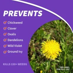 Bonide Chickweed Killer Concentrate 16 Oz -Roundup Hub 5a537a5c 49e0 4eef a7d4 32edae2e4630