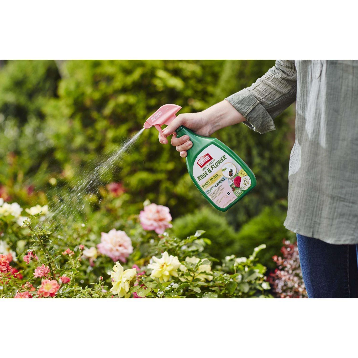 Ortho Insect Killer Liquid 24 Oz 2 Ortho Insect Killer Liquid 24 Oz - Image 2