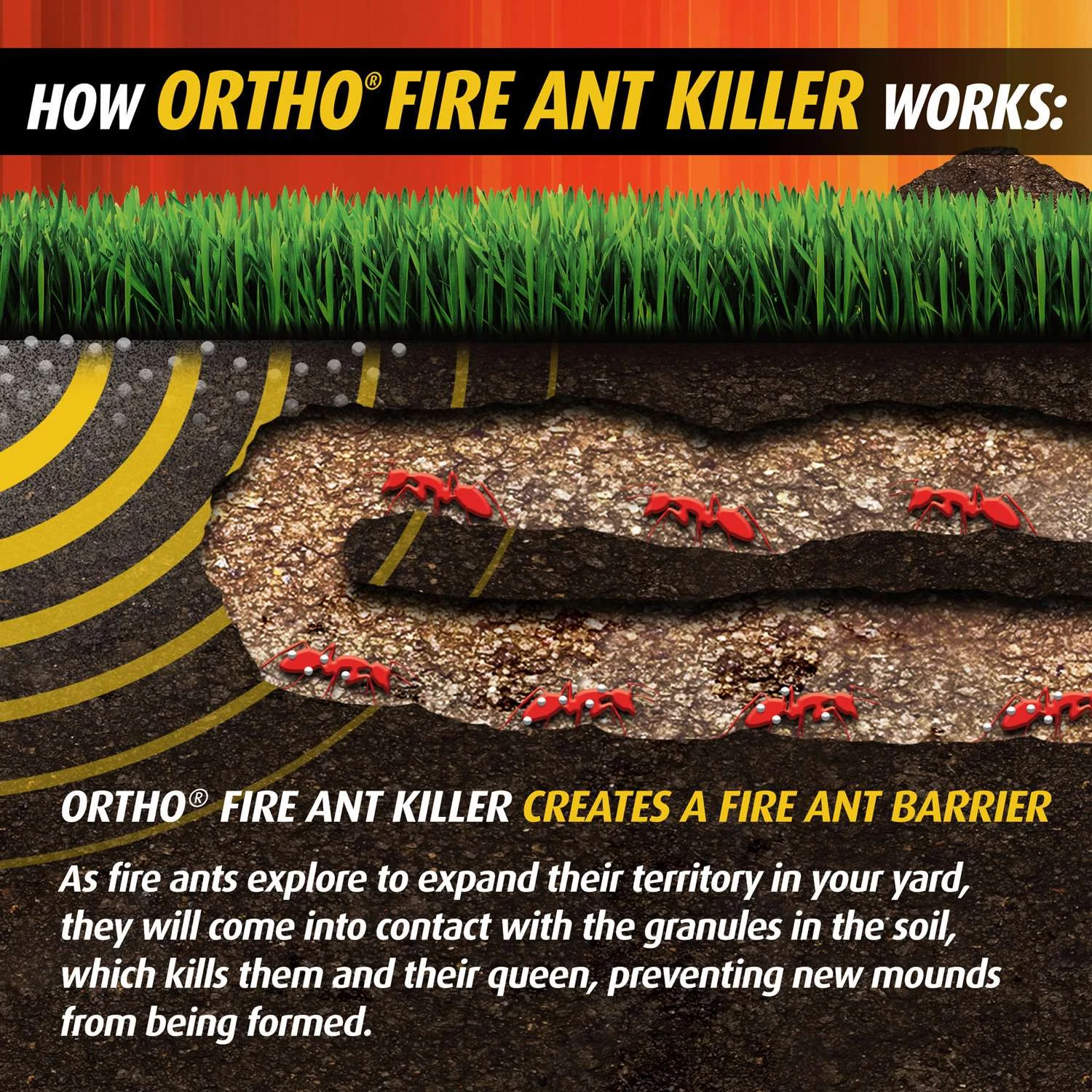 Ortho Fire Ant Killer 11.5 Lb 7 Ortho Fire Ant Killer 11.5 Lb - Image 7