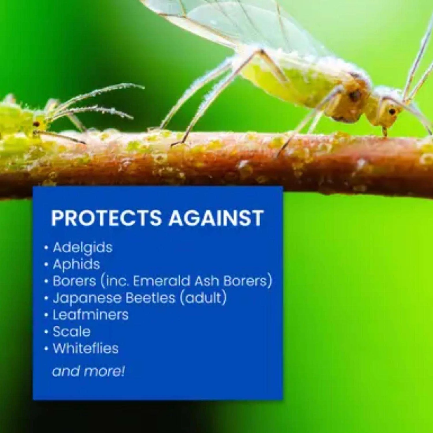 BioAdvanced Insect Control With Fertilizer Liquid Concentrate 32 Oz 2 BioAdvanced Insect Control With Fertilizer Liquid Concentrate 32 Oz - Image 2