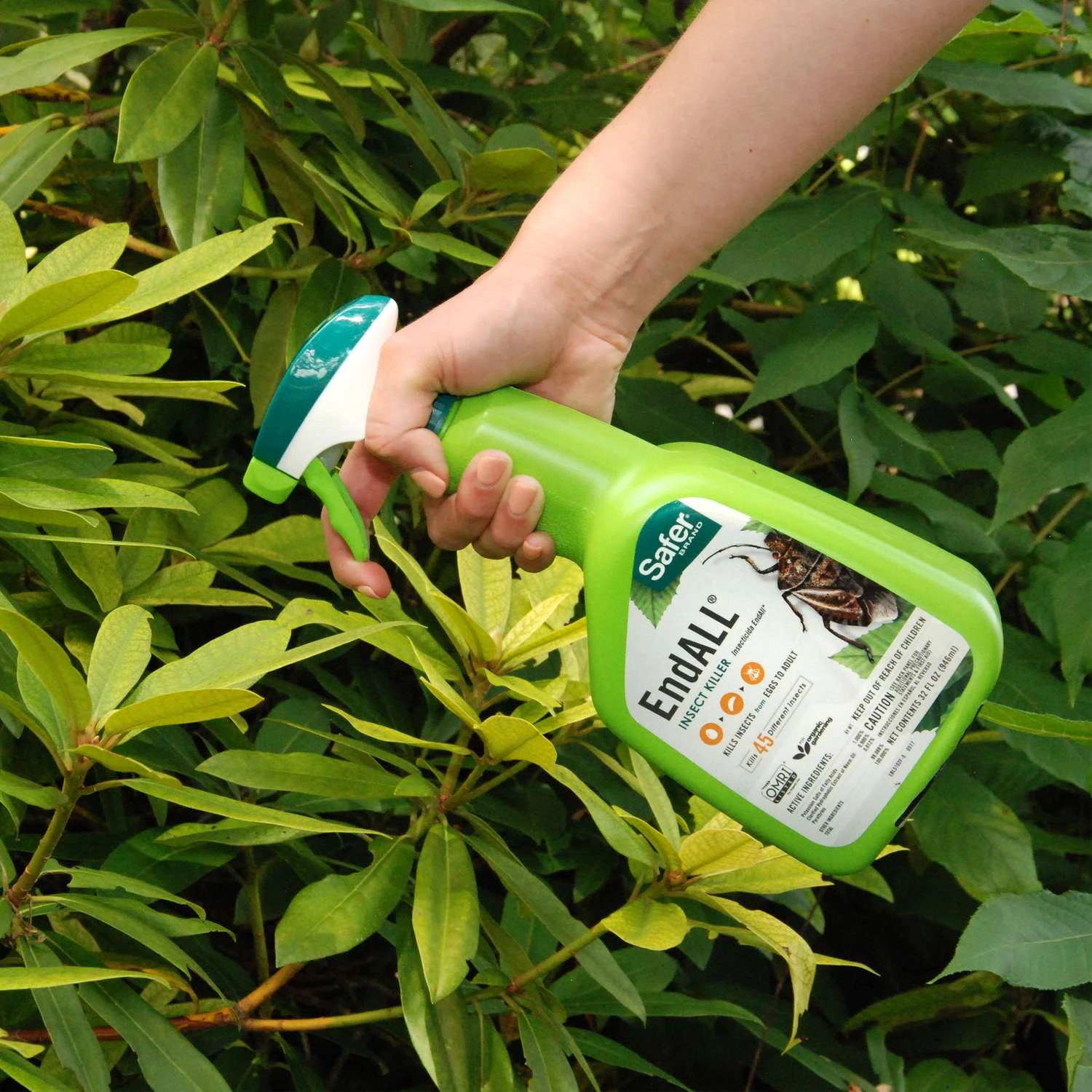Safer Brand EndALL Organic Insect Killer Liquid 32 Oz 4 Safer Brand EndALL Organic Insect Killer Liquid 32 Oz - Image 4