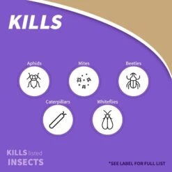 Bonide Tomato & Vegetable 3 In 1 Organic 3 In 1 Garden Insect Spray Liquid 32 Oz 12 Bonide Tomato & Vegetable 3 In 1 Organic 3 In 1 Garden Insect Spray Liquid 32 Oz -Roundup Hub 603c590e 8aba 48f4 80da 9adb296472c2