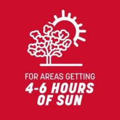 Pennington The Rebels Tall Fescue Grass Sun Or Shade Grass Seed 20 Lb -Roundup Hub 607d1972 d57e 4208 8a3c 21bf1eda1ce1