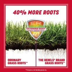 Pennington The Rebels Tall Fescue Grass Sun Or Shade Grass Seed 20 Lb -Roundup Hub 60c17dbc c314 45e1 b0d2 b85dec42ee16