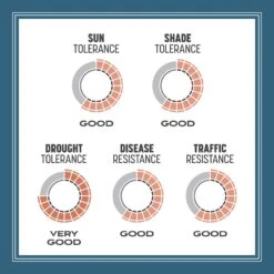 Pennington Smart Seed Pennsylvania State Mixed Sun Or Shade Grass Seed And Fertilizer 3 Lb 18 Pennington Smart Seed Pennsylvania State Mixed Sun Or Shade Grass Seed And Fertilizer 3 Lb -Roundup Hub 625b7c07 64be 4ec0 b09f 6290bd3caf93