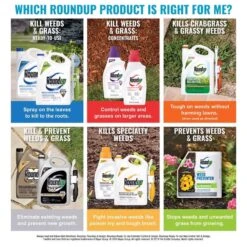 Roundup Weed And Grass Killer Concentrate 35.2 Oz -Roundup Hub 62afd757 f08c 43a4 b9c4 e4916c003b6a