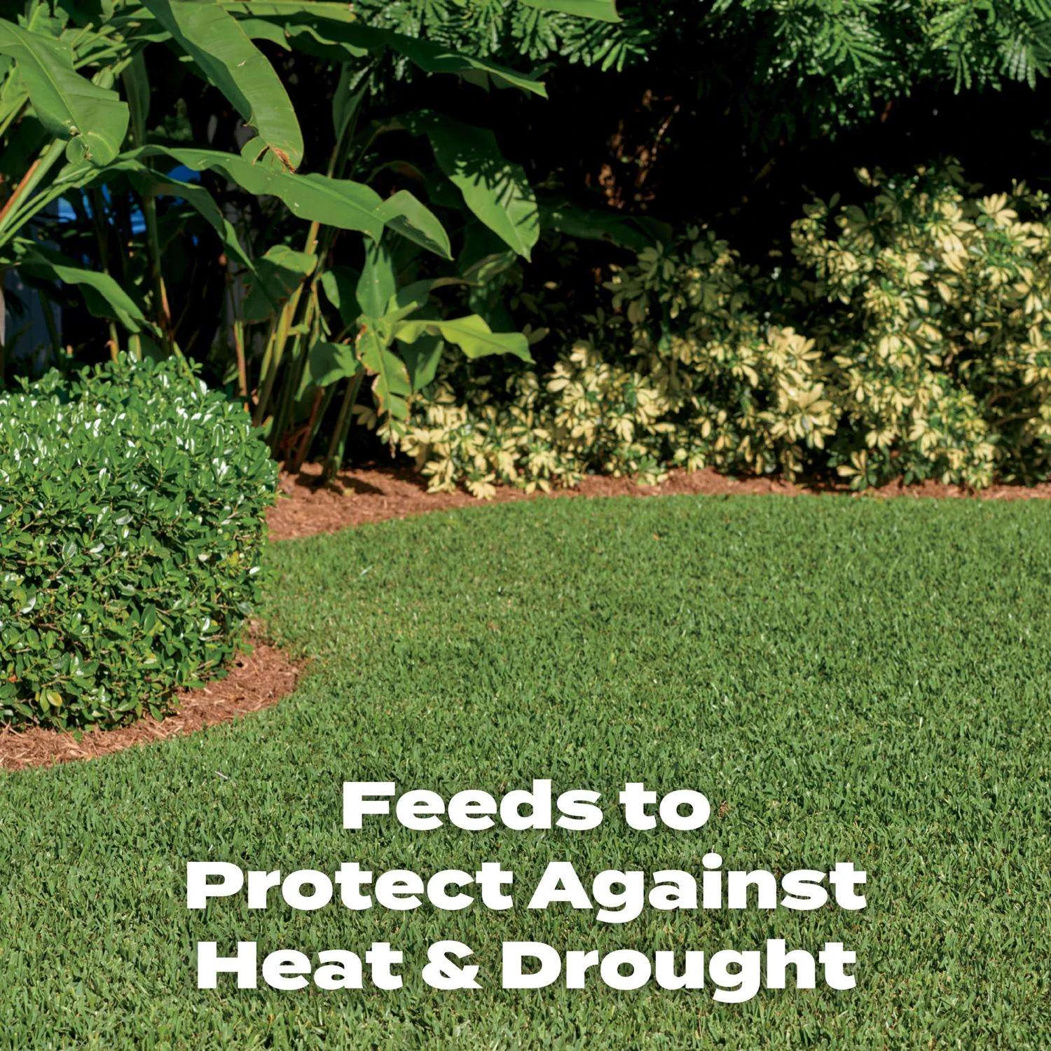 Scotts Turf Builder All-Purpose Lawn Fertilizer For All Grasses 5000 Sq Ft 3 Scotts Turf Builder All-Purpose Lawn Fertilizer For All Grasses 5000 Sq Ft - Image 3