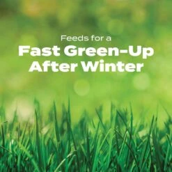 Scotts Turf Builder Halts Crabgrass Preventer Lawn Fertilizer For Multiple Grass Types 15000 Sq Ft -Roundup Hub 6382bc34 15b9 4010 a91b 7a56d6e0d373