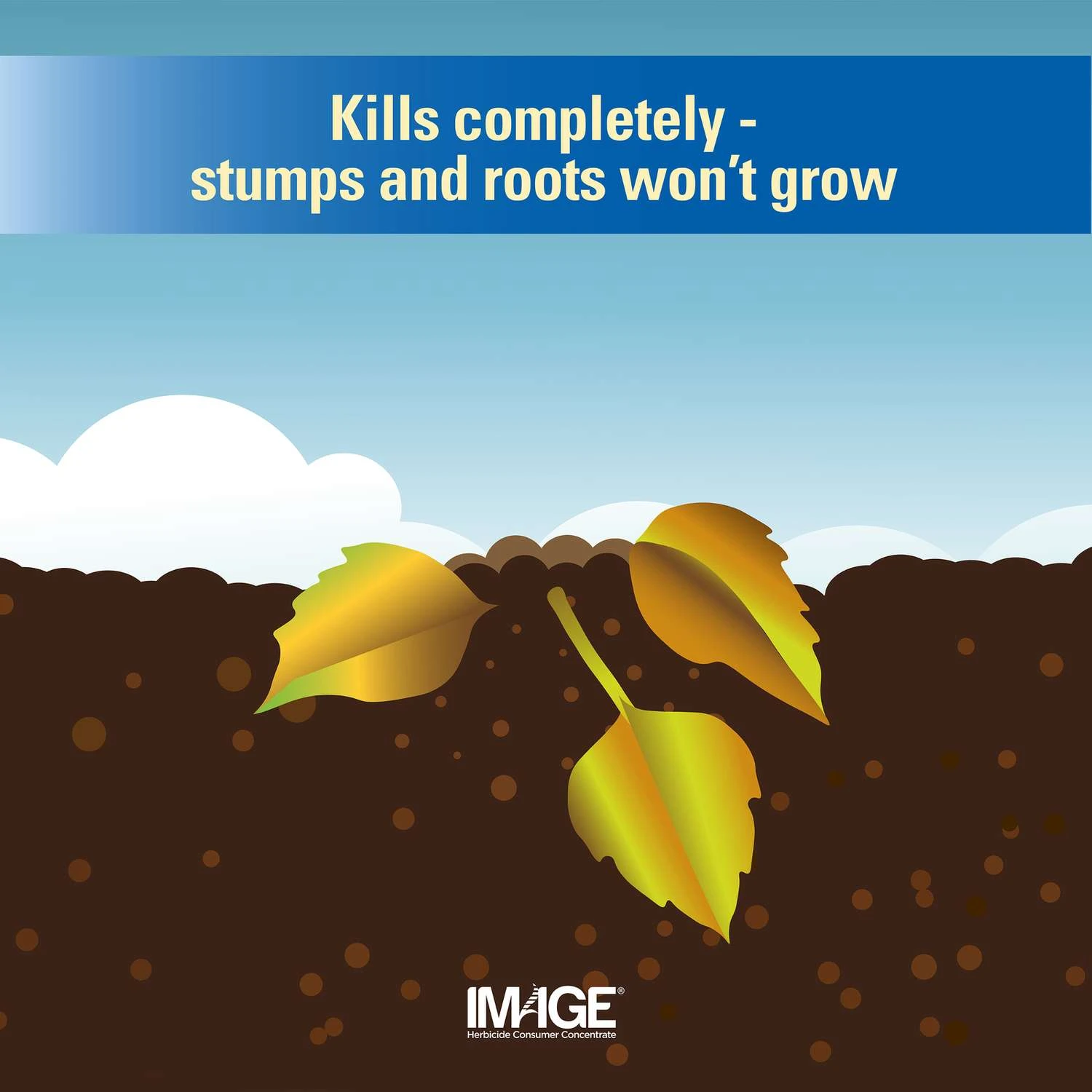 Lilly Miller Image Brush And Vine Killer Concentrate 1 Qt 5 Lilly Miller Image Brush And Vine Killer Concentrate 1 Qt - Image 5