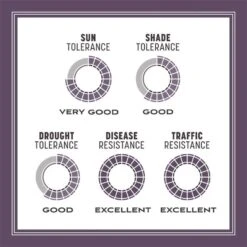 Pennington Annual Ryegrass Full Sun/Light Shade Grass Seed 50 Lb 13 Pennington Annual Ryegrass Full Sun/Light Shade Grass Seed 50 Lb -Roundup Hub 6648663d 0b06 4921 bae9 d57a80c24d4e