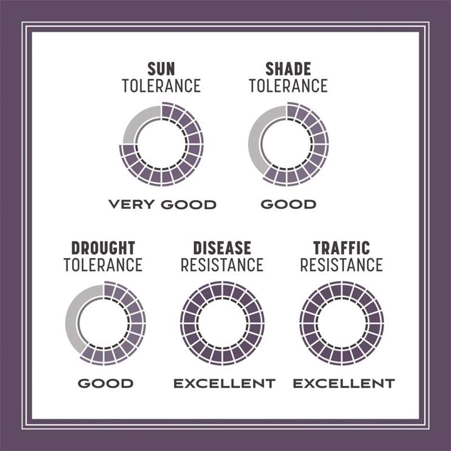 Pennington Annual Ryegrass Full Sun/Light Shade Grass Seed 50 Lb 4 Pennington Annual Ryegrass Full Sun/Light Shade Grass Seed 50 Lb - Image 4