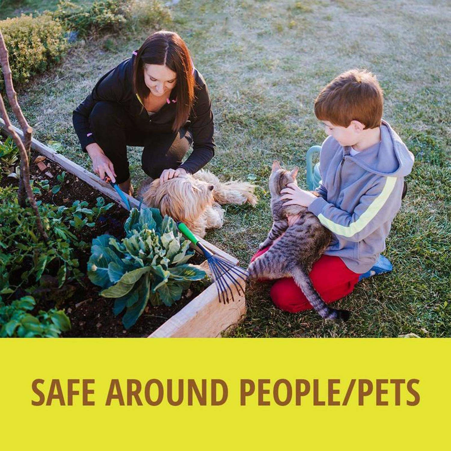 VoleX Non-Toxic Bait Pellets For Voles 8 Oz 1 Pk 5 VoleX Non-Toxic Bait Pellets For Voles 8 Oz 1 Pk - Image 5